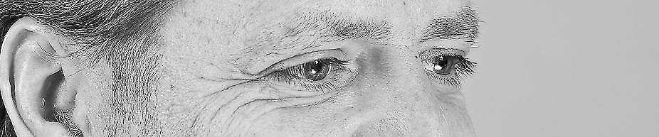 herzog_header_1.copy1